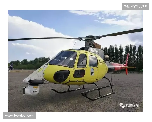 传感技术助力草坪科学养护 保障专业赛事举办条件